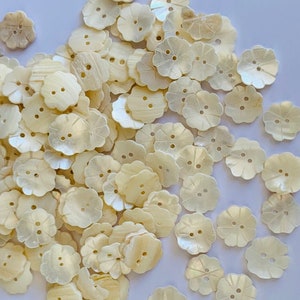 May include: A pile of cream-coloured, flower-shaped buttons, each with two holes. The buttons have a scalloped edge, like petals. They are scattered on a white surface, giving a delicate and natural appearance.
