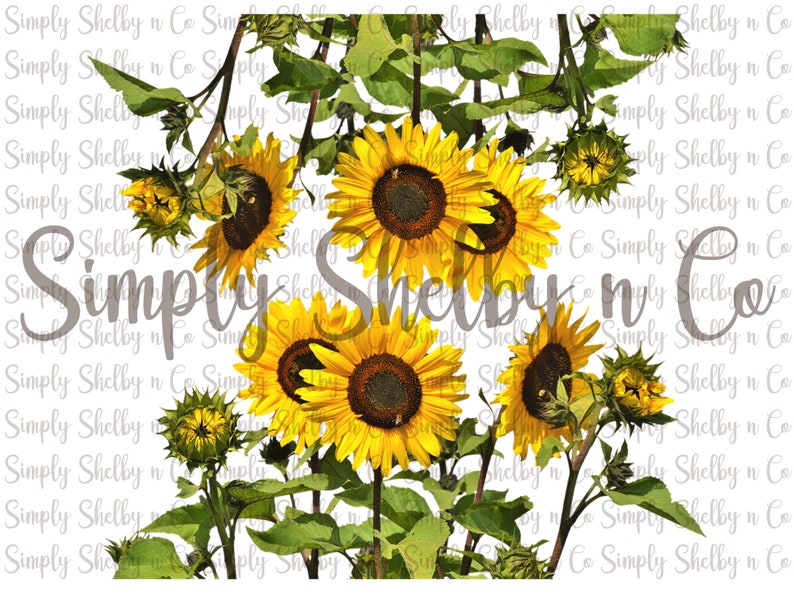 Sunflower Wrap Waterslide Decals Etsy