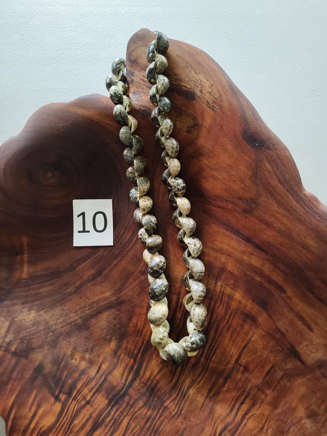 Kupe'e Shell Lei #10 - Etsy