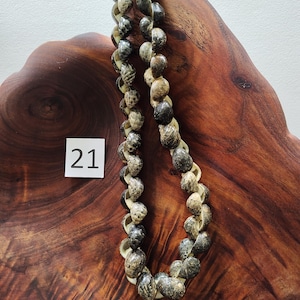 Kupe&#39;e Shell Lei #21