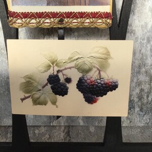 Tarjeta de gabinete antiguo & montaje de postal | Etsy