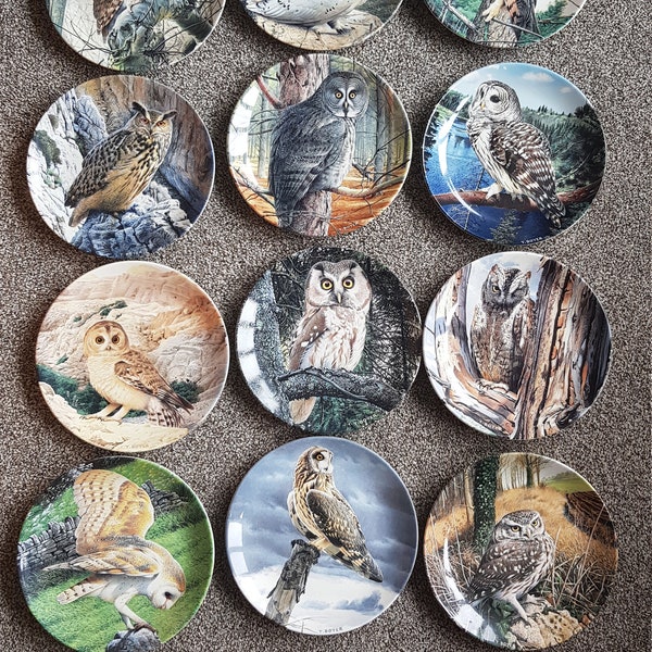 Wedgewood & Barlaston of Etururia Danbury Mint 'The Majesty of Owls' collector plates 12 to choose from