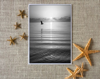 Seagull Over the Bay Note Cards (set of 8)