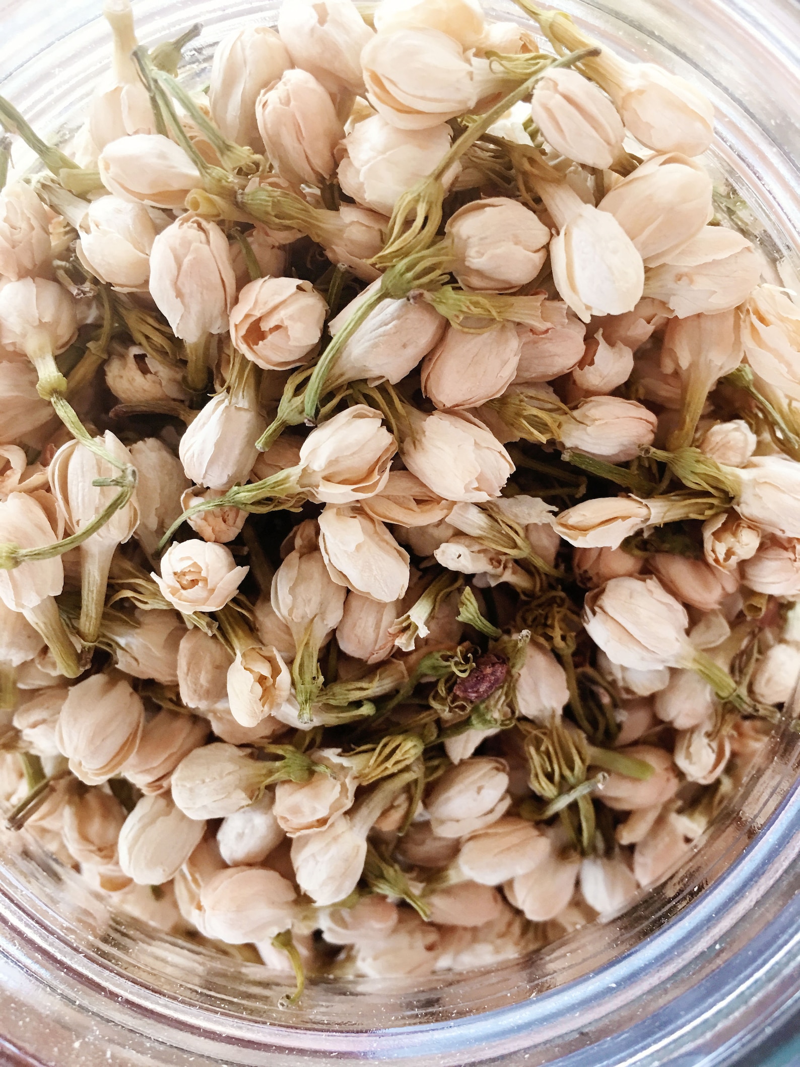 Jasmine Flower Buds White Dried Flowers 1 Oz Perfect for Etsy
