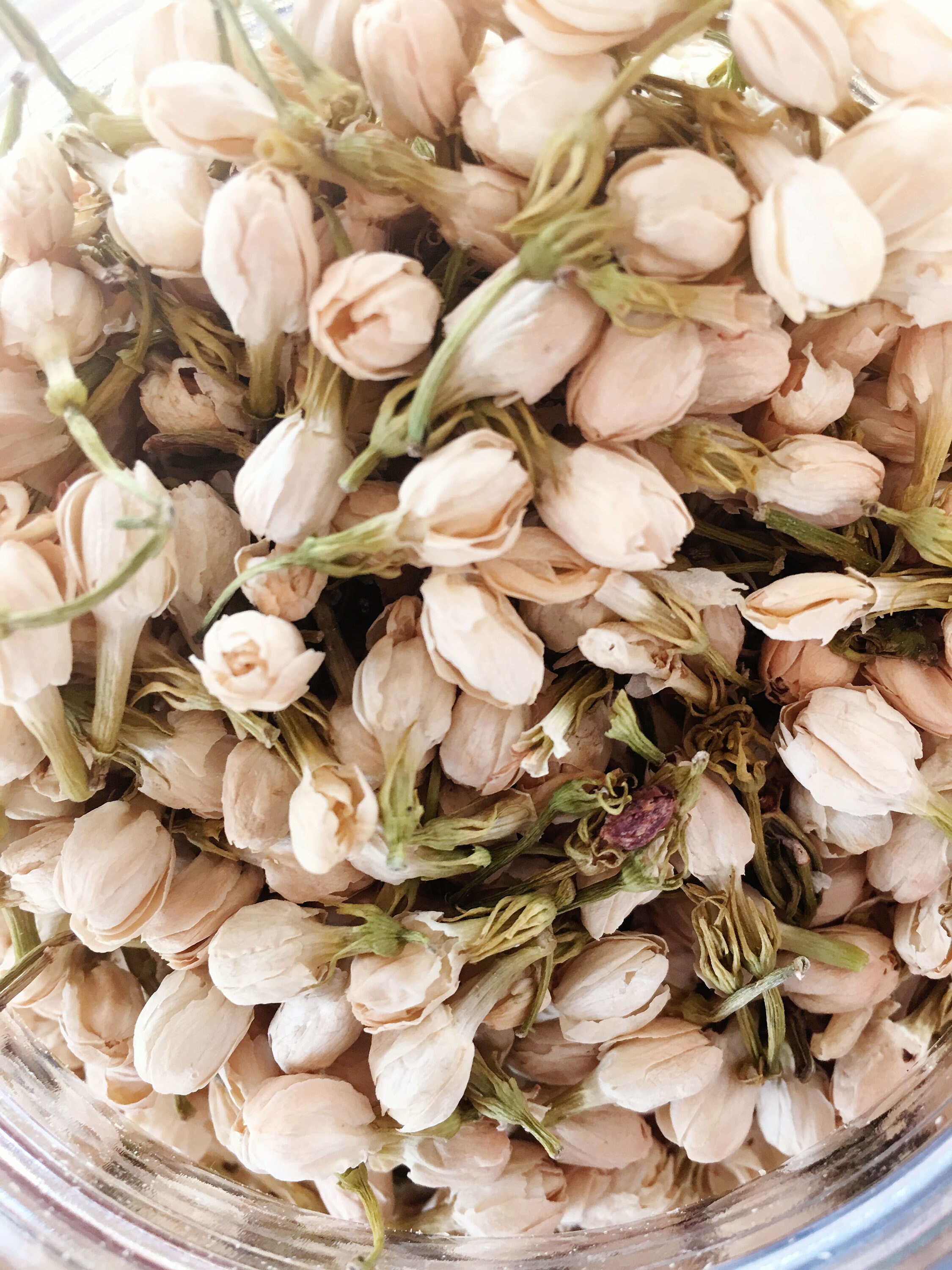 Jasmine Flower Buds White Dried Flowers 1 Oz Perfect for Etsy