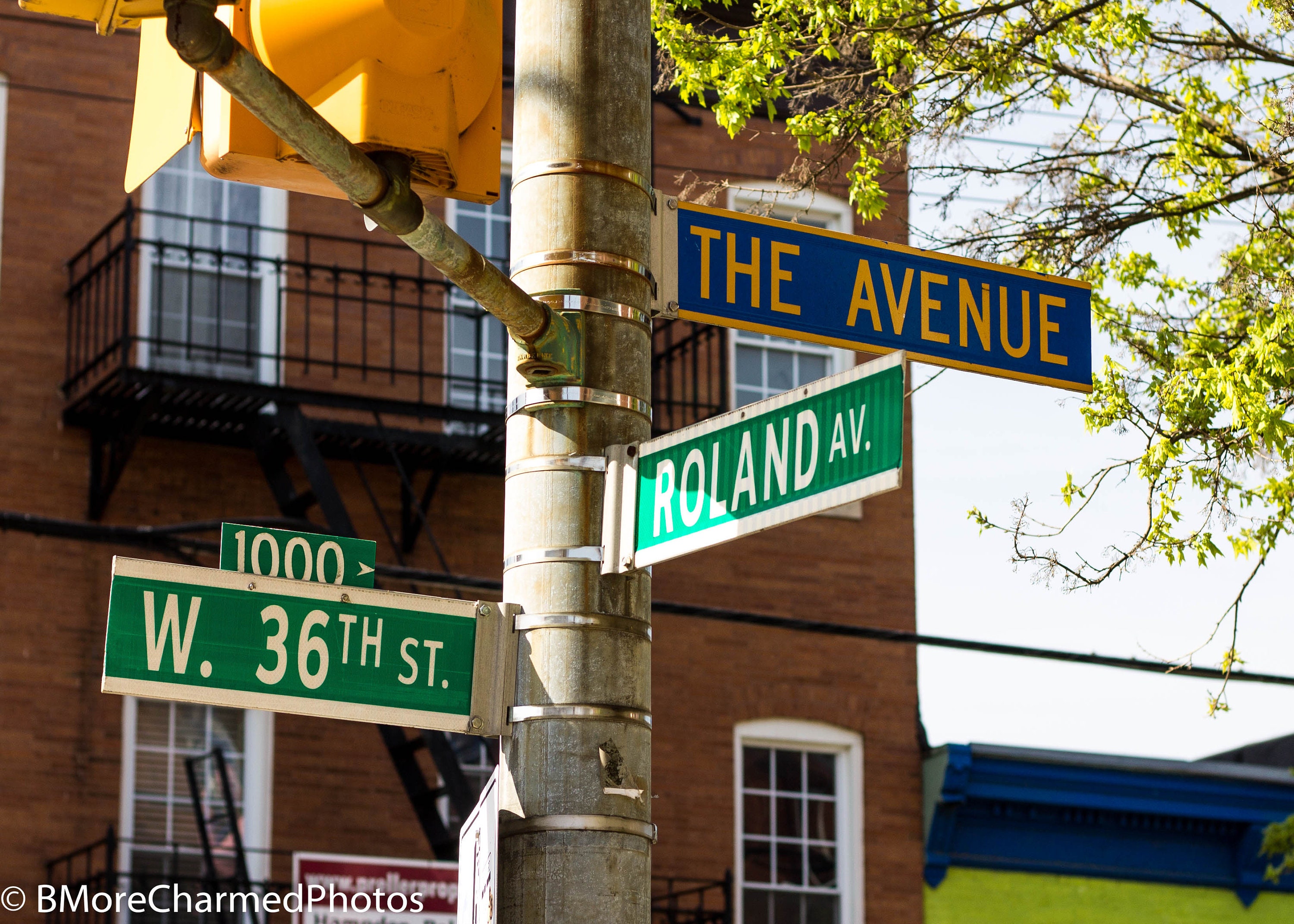 List Of Street Names In Baltimore Md The Avenue In Hampden Baltimore Maryland Photo Print Or | Etsy Uk