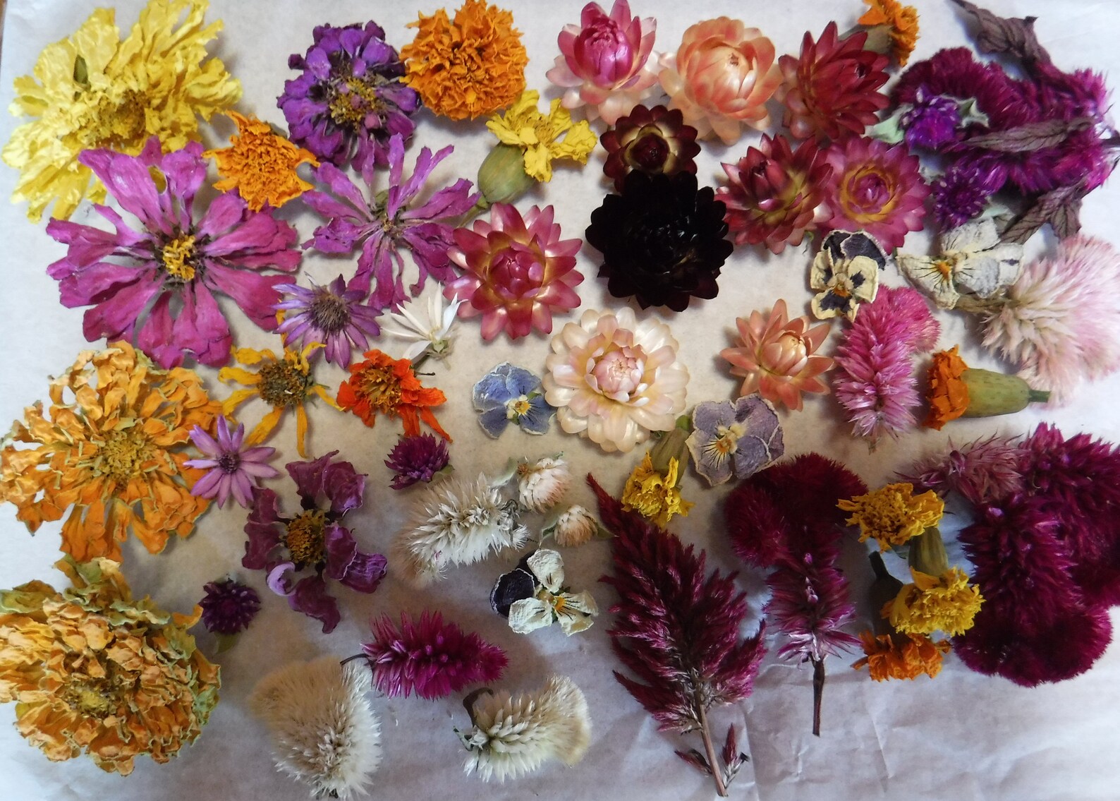 Whole Dried Flowers Dried Flowers Real Flowers Crafting Etsy