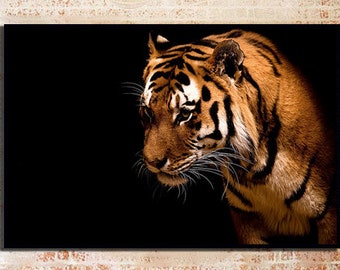 abstract poster tiger colorful