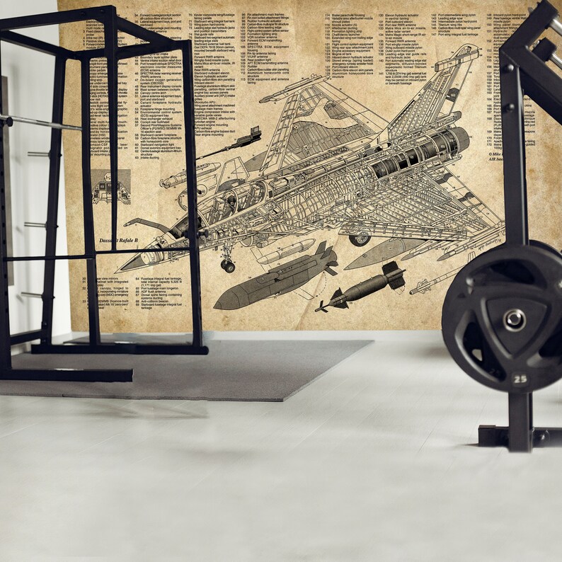 May include: A detailed black and white illustration of a Dassault Rafale B fighter jet with a cutaway view of the aircraft's internal components. The illustration is printed on a vintage-style paper background.