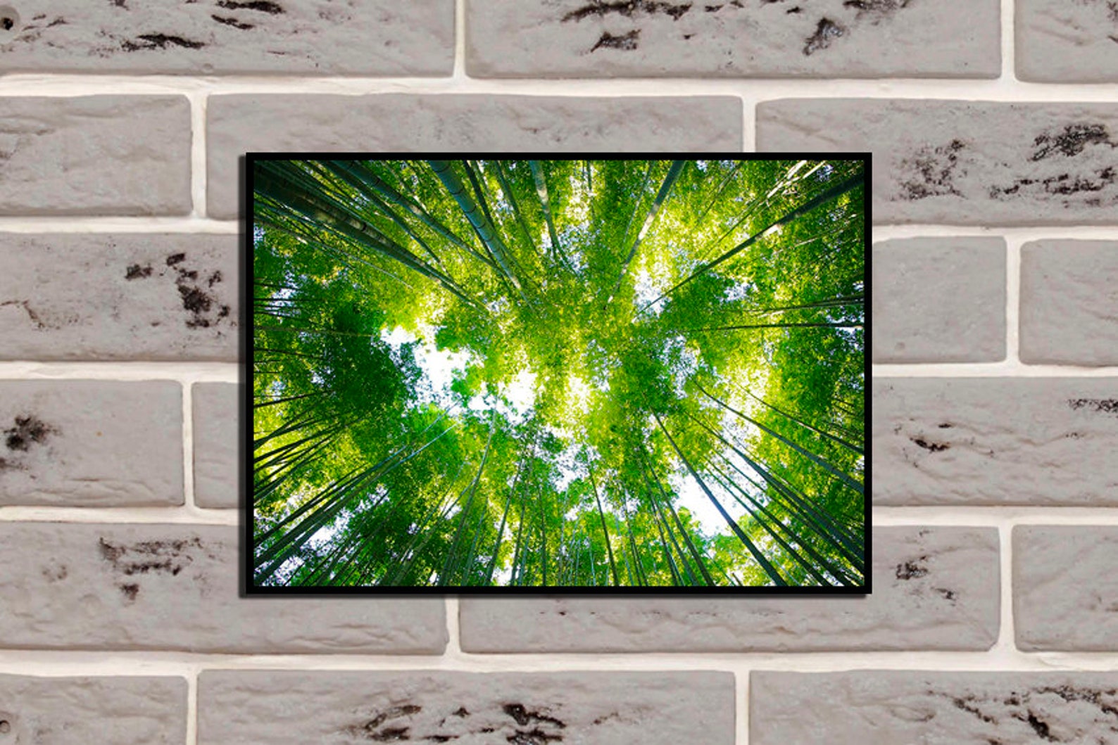 Forest Trees Poster Forest Art Print Beautiful Forest Tree Art Print ...