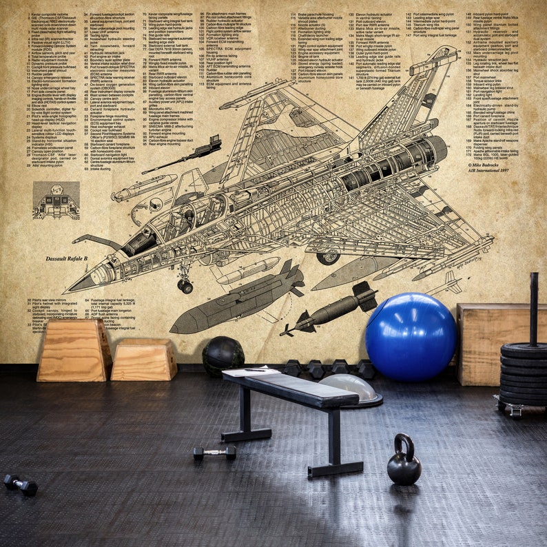 May include: A detailed cutaway illustration of a Dassault Rafale B fighter jet, printed on a vintage-style paper background. The illustration shows the internal workings of the aircraft, including the engine, cockpit, and weapons systems. The image also includes various gym equipment, such as a weight bench, dumbbells, and a medicine ball.