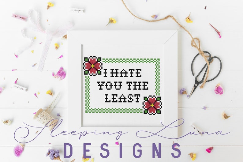 I Hate You The Least Cross Stitch Pattern Snarky Cross Stitch Modern Cross Stitch Floral Cross Stitch Digital Download Pattern image 2