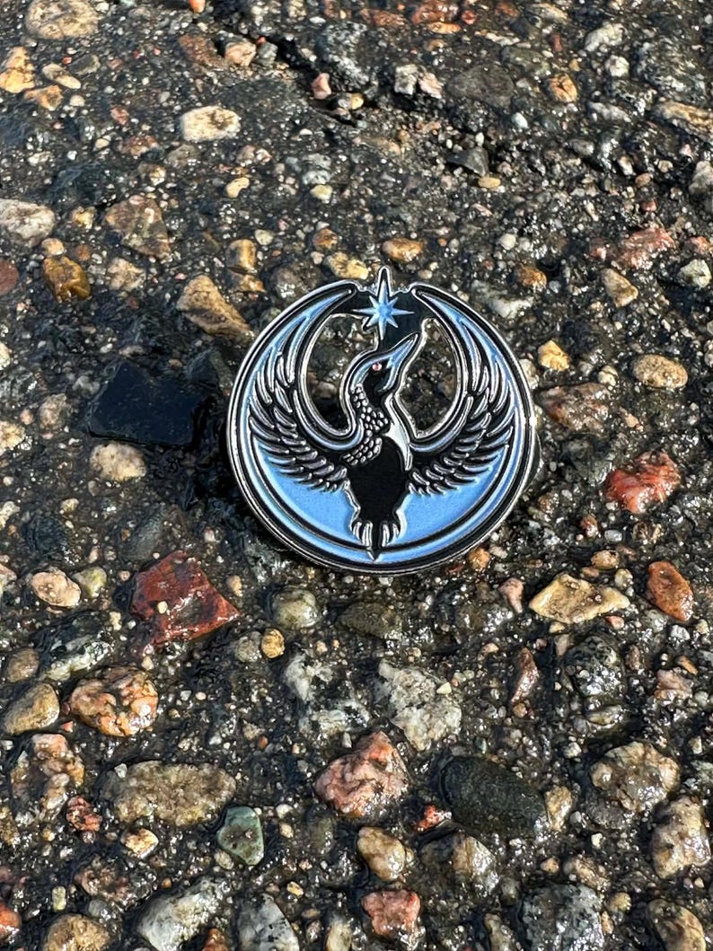 May include: A round, silver-colored pin with a black bird-like creature with outstretched wings, a star, and a light blue background. The pin is set against a background of small rocks and pebbles.
