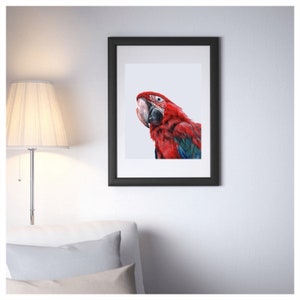 Scarlet Macaw A4 Print - Painting, Macaw, Parrot, Red Macaw, Acrylic, Macaw Art, Parrot Art, Wildlife Art, Wall Art, Decor, Tropical, print