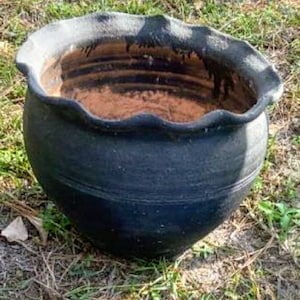 May include: A dark, round, ceramic pot with a wavy rim. The pot is black with a textured surface and sits on a bed of grass and leaves. The interior of the pot is a lighter brown color.