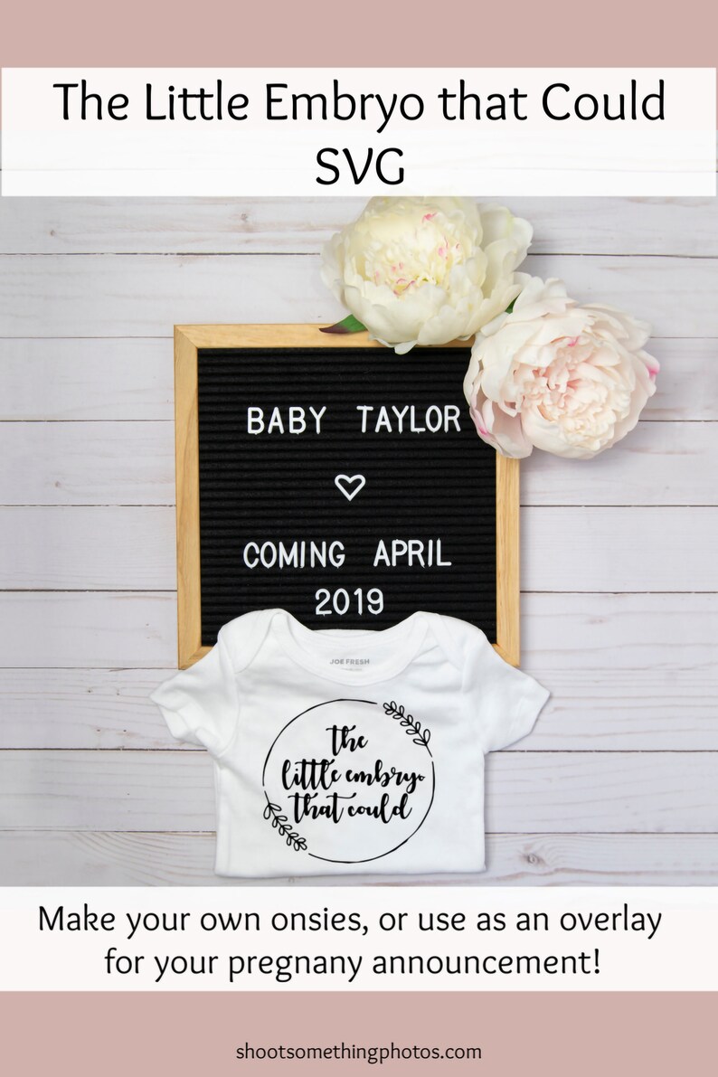Op de afbeelding: Een zwangerschapsaankondiging met een zwart letterbord met "BABY TAYLOR" en "COMING APRIL 2019". Een witte romper met "the little embryo that could" staat eronder. Twee grote, lichtroze en witte pioenrozen zijn boven het bord geplaatst.
