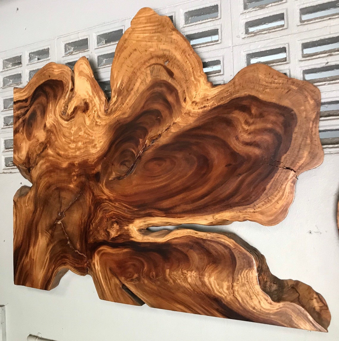 Live Edge Golden Acacia Reclaimed Wood Root Wall Art in Stock Etsy