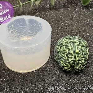 Puede incluir: Un molde de silicona transparente con forma de cerebro humano. El molde está sobre una superficie brillante junto a un cerebro de color verde y dorado.