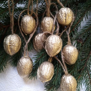 May include: A collection of gold painted walnut shells hanging from twine, used as Christmas ornaments. The shells are hanging from a pine branch.