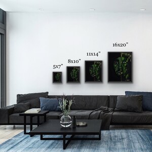 May include: A mockup of four framed art prints of a woman's face with green foliage, in various sizes: 5x7 inches, 8x10 inches, 11x14 inches, and 16x20 inches. The prints are displayed on a white wall in a living room setting.