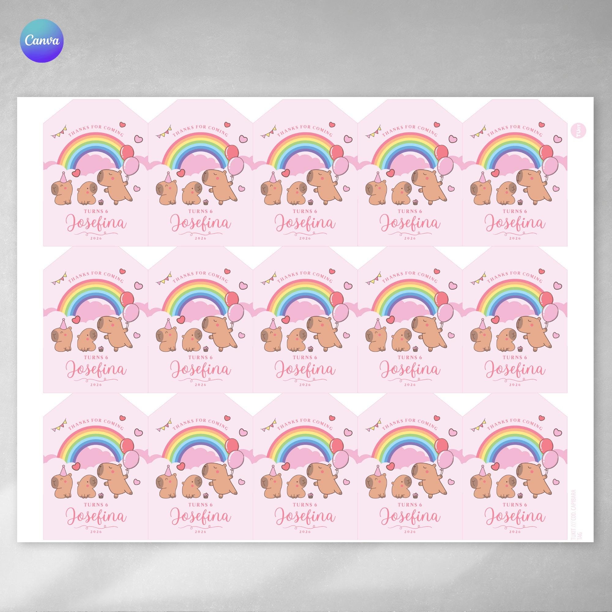Capybara Notebook Label Editable Printable Capybara Tag, Editable Canva Text, Capi Fest, Pink and Light ...