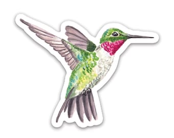 Adesivo de beija-flor | Adesivo com tema de pássaro | Adesivo de vinil de beija-flor verde colorido à prova d'água | Adesivo com tema de natureza |