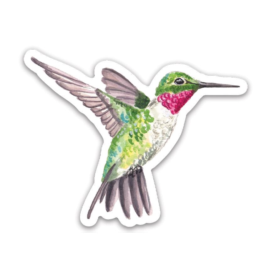 Hummingbird Sticker | Bird Theme Sticker | Waterproof Colorful Green ...