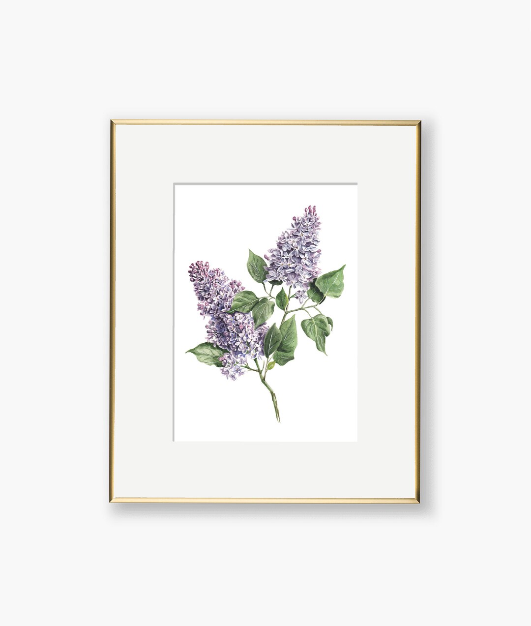 Watercolor Purple Lilacs Print | Lilacs Art Print | Watercolor Floral ...