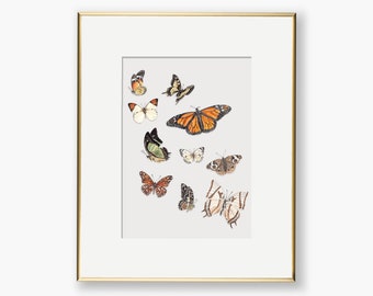 Watercolor Butterflies Art Print | Nursery Decor | Art for Neutral Rooms | Butterflies in Flight | Little Girl's Room Art Print