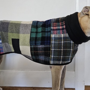 Puede incluir: Un galgo con un abrigo para perros de patchwork. El abrigo presenta una variedad de patrones de cuadros en tonos de verde, azul, gris y rosa. Tiene un cuello y ribete negros, proporcionando un aspecto acogedor y elegante al perro.