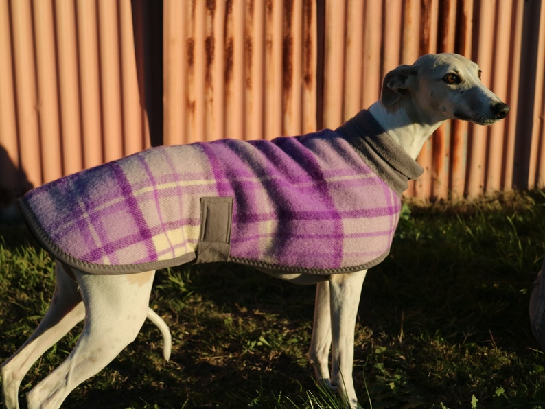 checks in purple and cream...winter coat for a whippet in vintage wool blanket and polar fleece