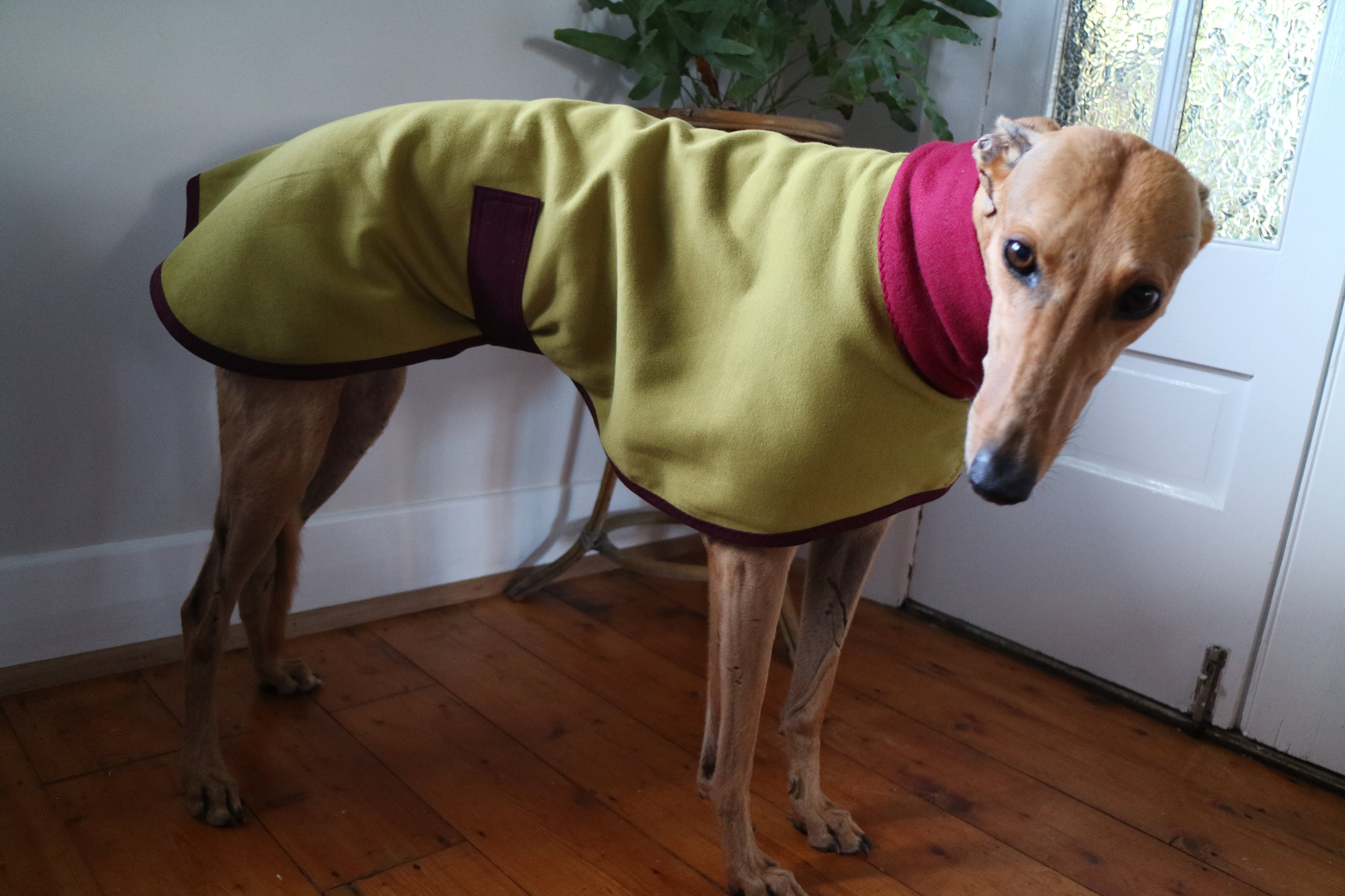 halemar dog blankets