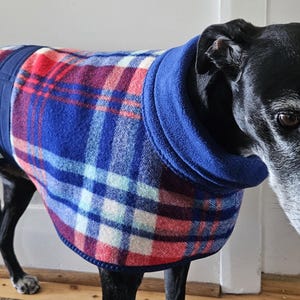 May include: A black dog wearing a blue, red, and white plaid dog coat. The coat has a blue collar and a matching plaid pattern. The dog is standing on a wooden floor, with a white wall in the background. The dog's fur is black and gray.