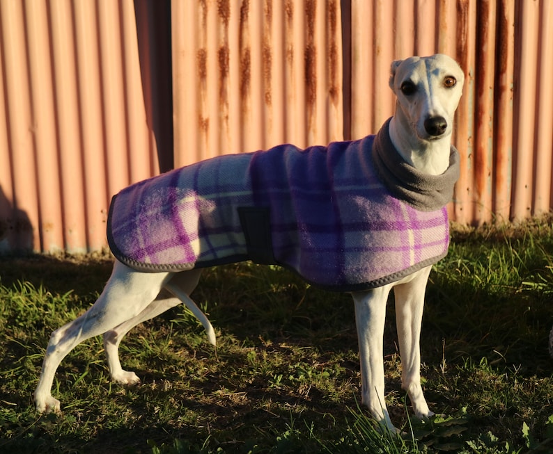 checks in purple and cream...winter coat for a whippet in vintage wool blanket and polar fleece