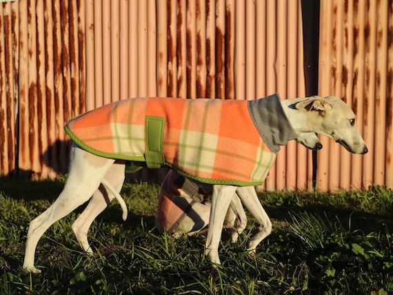 checks in chocolate and latte...winter coat for a lurcher or pointer in vintage wool blanket and polar fleece