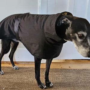 winter weight all weather coat for a pointer or lurcher