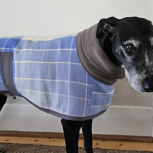 checks in shades of blue...winter coat for a pointer or lurcher in vintage wool blanket and fleece