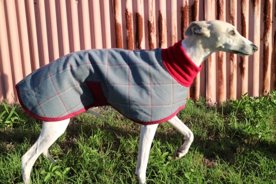 Whippet coats 2025 for sale