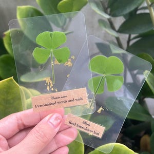 May include: Two clear plastic cards each containing a real four-leaf clover with gold leaf accents. One card has the text "Personalized words and wish" and the other card has the name "Linda". The clovers are green.
