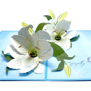 Carte de condoléances Lys blanc avec colombe, Avec toute notre sympathie, Perte d'un être cher, Je pense à vous, voeux d'un enfant, Deuil, Carte de deuil