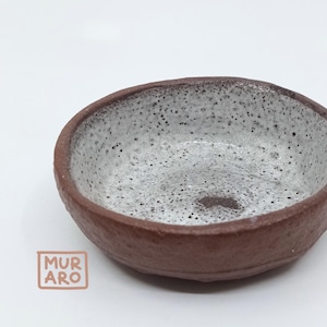 Terracotta Altar Bowl: Wild Clay Offering Dish, Crystal Holder