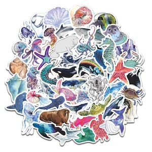 Ocean/ beach sea life theme decal pack 45pcs *