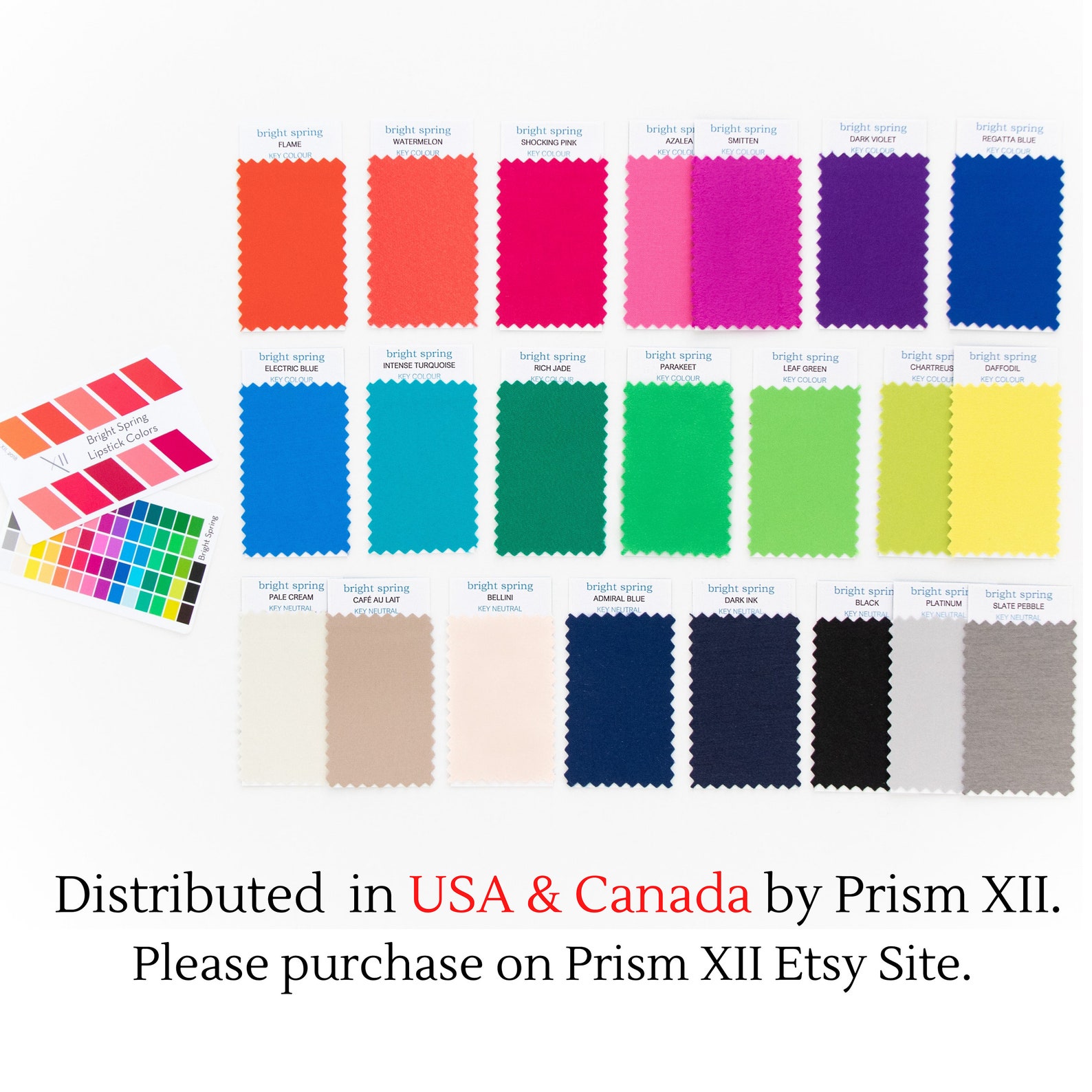 True Spring Swatch Wallet Bright Spring Swatches Top 22 Swatches - (colours and Neutrals) in a ...