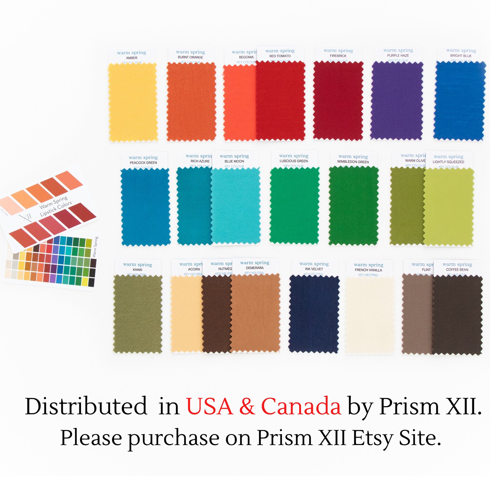 True Spring Swatch Wallet Warm Spring Top 22 Swatches - (colours and Neutrals) in a Leather ...