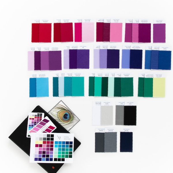 Cool Winter - The ULTIMATE COLLECTION of Fifty Fabric Swatches