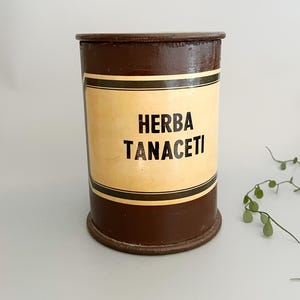 Antique Apothecary Jar HERBA TANACETI German Apothecary Box 7.5” Wood Paper Mache Pharmacy Lidded Box Witch Apothecary Pharmacy Decoration