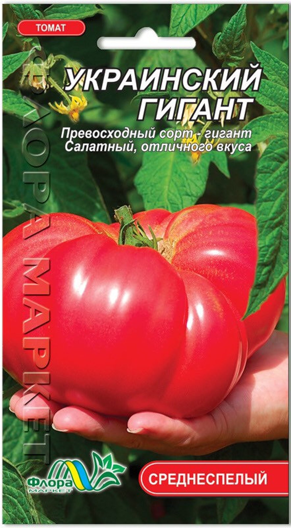 Tomato Seeds Ukrainian Giant/Rare Seeds Collection/Heirloom Etsy