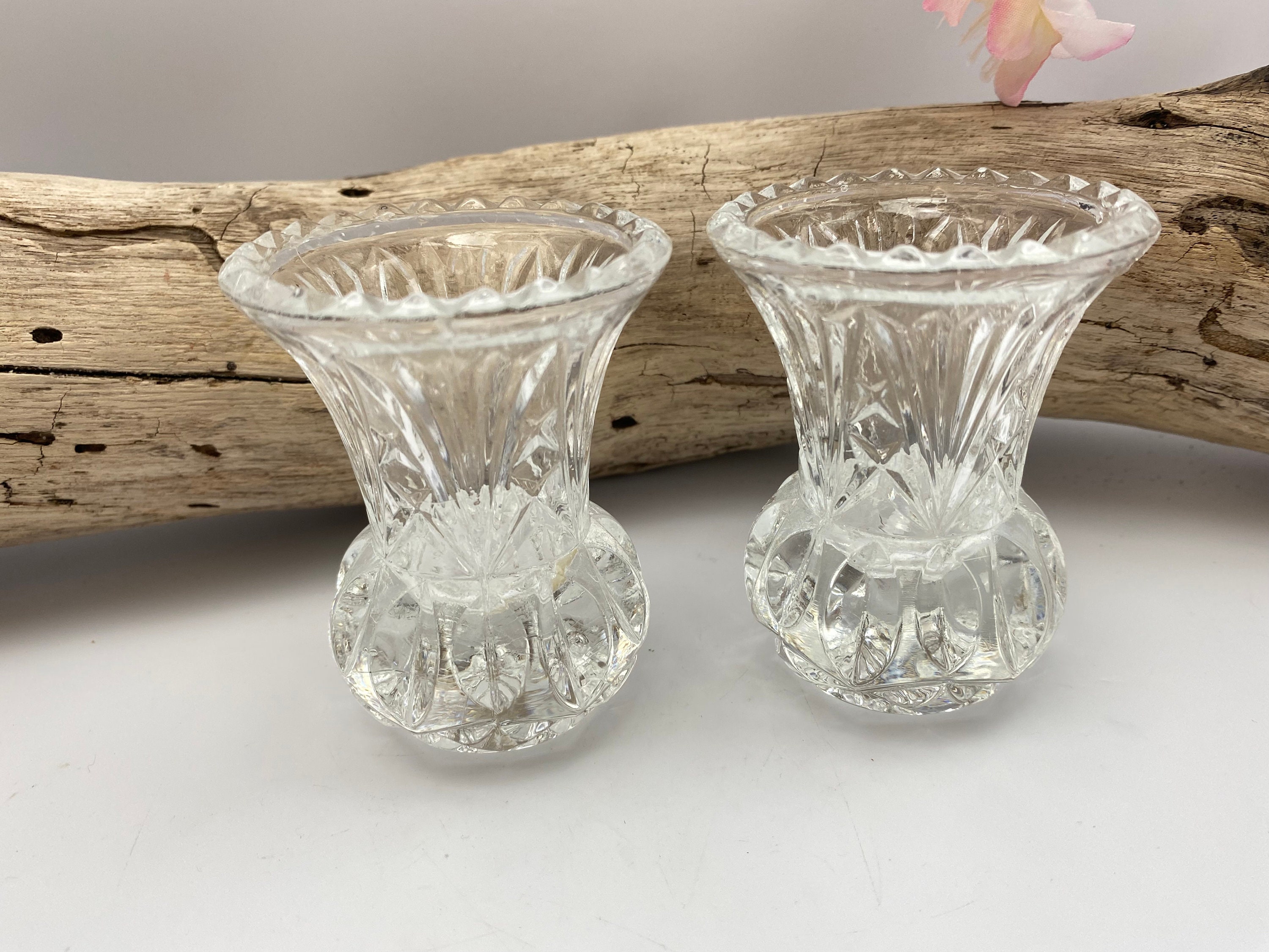 Mini Glass Vases / Set of 2 / Flower Display Etsy