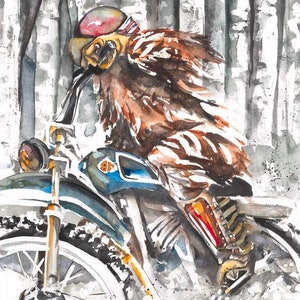 Hairy Rider, Bigfoot Serie