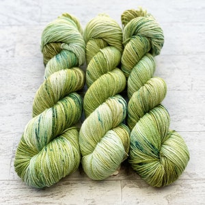 Harpy Hand Dyed Yarn - SW Merino and Silk - Fingering/Sock Weight - #C103